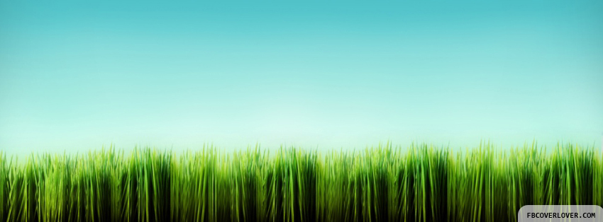 Perfect Grass Facebook Covers More Nature_Scenic Covers for Timeline