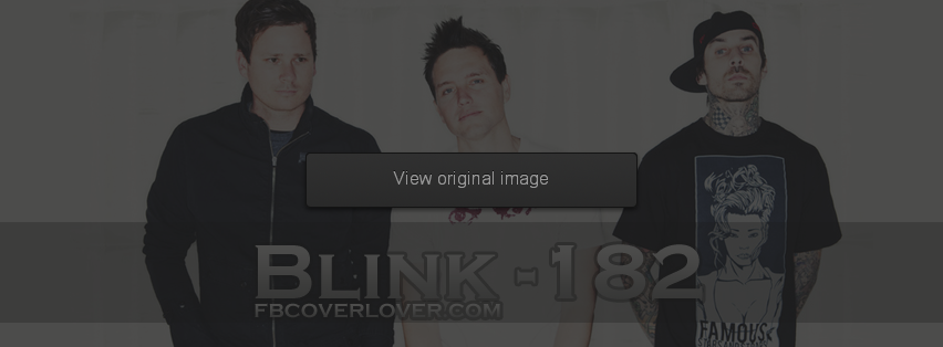 Blink-182 3 Facebook Covers More Music Covers for Timeline
