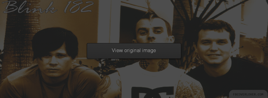 Blink-182 4 Facebook Covers More Music Covers for Timeline