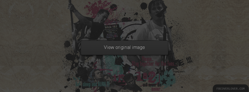 Blink-182 Facebook Covers More Music Covers for Timeline