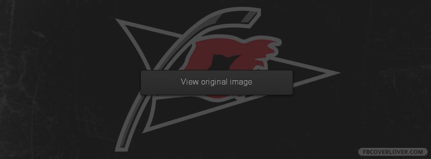 Carolina Hurricanes 2 Facebook Covers More Hockey Covers for Timeline