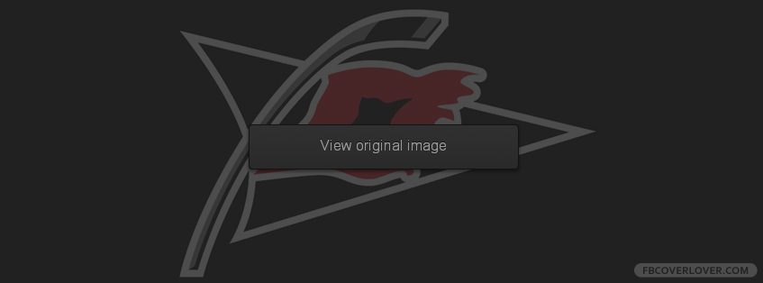 Carolina Hurricanes Facebook Covers More Hockey Covers for Timeline