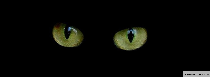 Cat Eyes Facebook Timeline  Profile Covers
