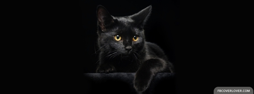 Black Cat Facebook Timeline  Profile Covers