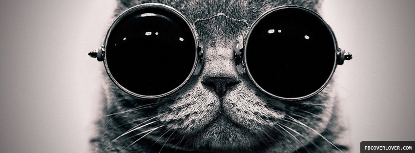Cat in Shades Facebook Timeline  Profile Covers