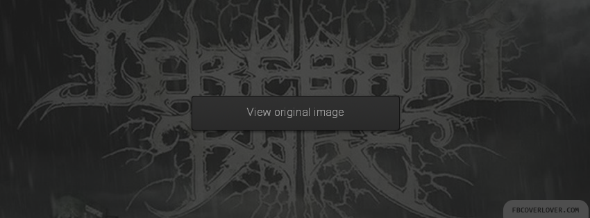 Cerebral Bore Facebook Covers More User Covers for Timeline