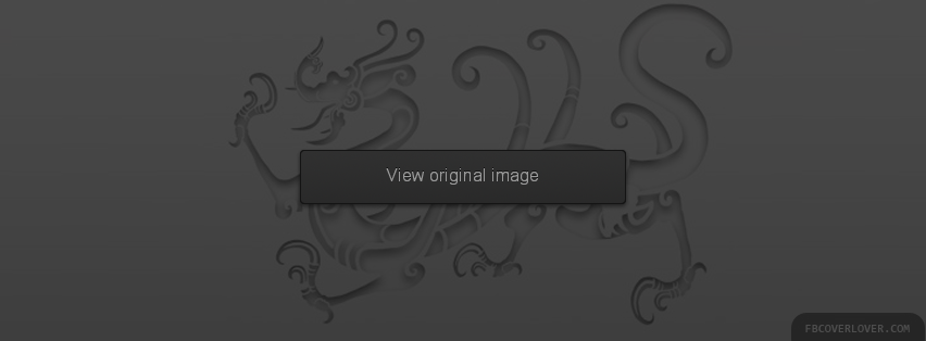 Dragon Zodiac Facebook Covers More Miscellaneous Covers for Timeline