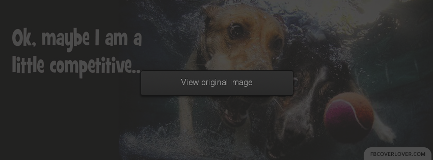 Maybe A Little Competitive Facebook Covers More User Covers for Timeline