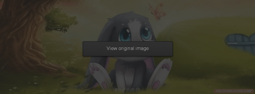 Cutest Bunny Ever Facebook Covers More Animals Covers for Timeline