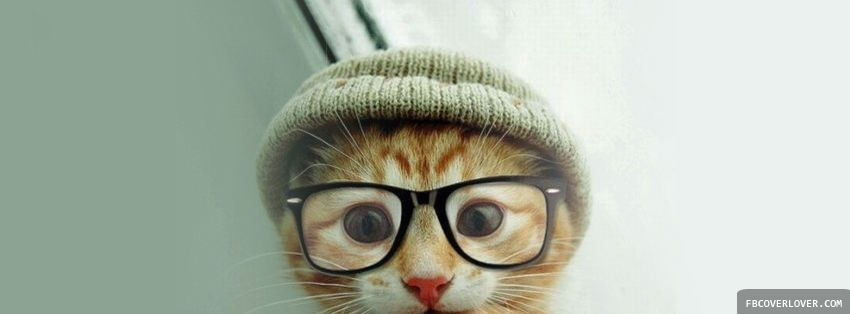 Cat in Glasses Facebook Timeline  Profile Covers