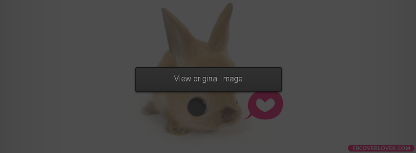 Bunny Loves You Facebook Covers More Animals Covers for Timeline