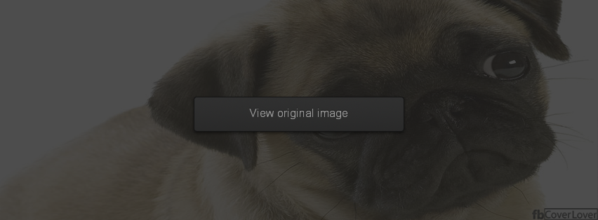 Puppy Dog Facebook Covers More Animals Covers for Timeline