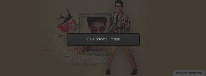 Darren Criss 5 Facebook Covers More Celebrity Covers for Timeline