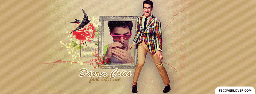 Darren Criss 5 Facebook Covers More Celebrity Covers for Timeline