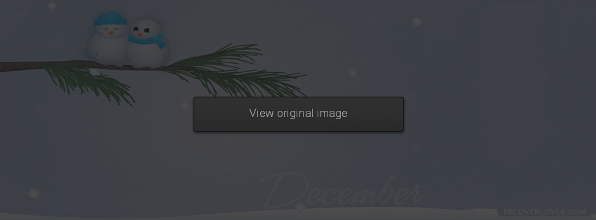 December Birds Cuddling Facebook Covers More Seasonal Covers for Timeline