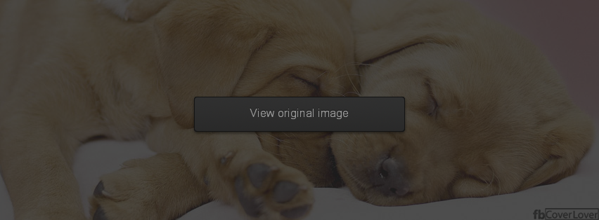 Cuddling Pups Facebook Covers More Animals Covers for Timeline