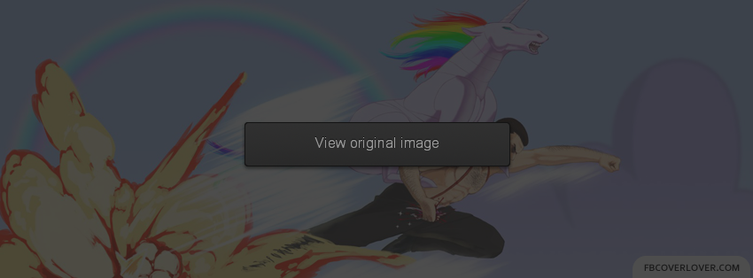 Epic Man Unicorn Facebook Covers More User Covers for Timeline