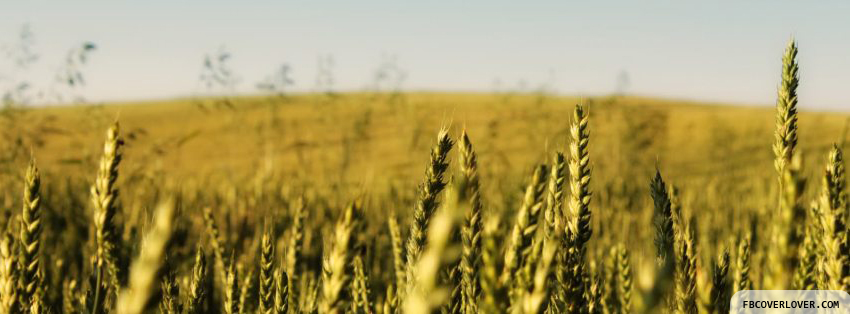 Autumn Field Facebook Covers More Seasonal Covers for Timeline