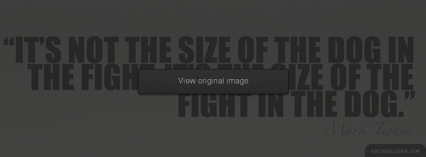 Size Of The Fight  Facebook Covers More Quotes Covers for Timeline