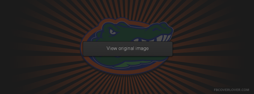 Florida Gators 3 Facebook Covers More Football Covers for Timeline