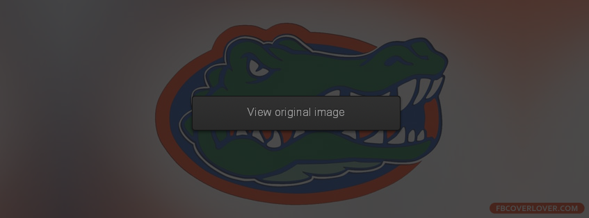 Florida Gators 4 Facebook Covers More Football Covers for Timeline