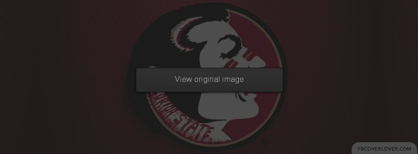 FSU Facebook Covers More Miscellaneous Covers for Timeline