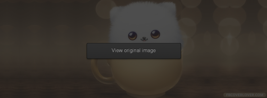 Fluffy In A Cup Facebook Covers More Animals Covers for Timeline
