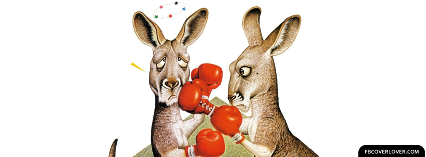 Funny Kangaroo Boxing Facebook Covers More Funny Covers for Timeline