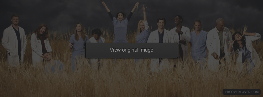 Greys Anatomy Cast Facebook Covers More Movies_TV Covers for Timeline