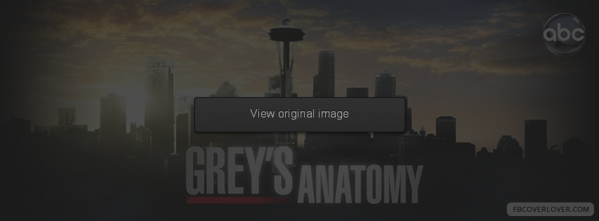 Greys Anatomy 3 Facebook Covers More Movies_TV Covers for Timeline