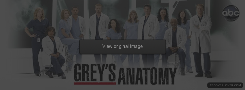 Greys Anatomy 2 Facebook Covers More Movies_TV Covers for Timeline