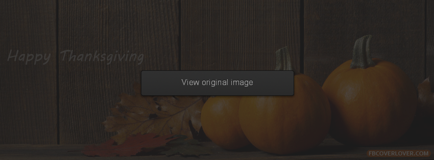 Happy Thanksgiving 2013 4 Facebook Covers More Holidays Covers for Timeline