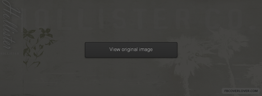 Hollister Facebook Covers More Brands Covers for Timeline