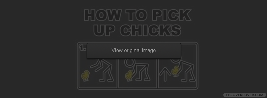 How To Pick Up Chicks Facebook Covers More Funny Covers for Timeline