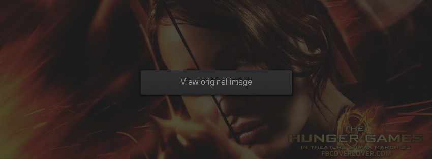 Katniss - The Hunger Games (4) Facebook Covers More Movies_TV Covers for Timeline