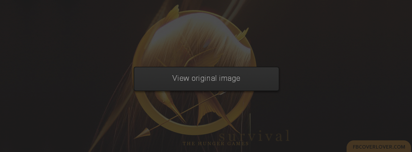 The Hunger Games (2) Facebook Covers More Movies_TV Covers for Timeline