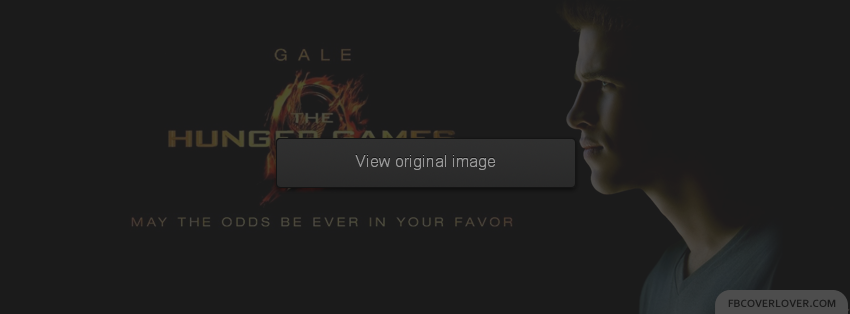 Gale - The Hunger Games Facebook Covers More Movies_TV Covers for Timeline