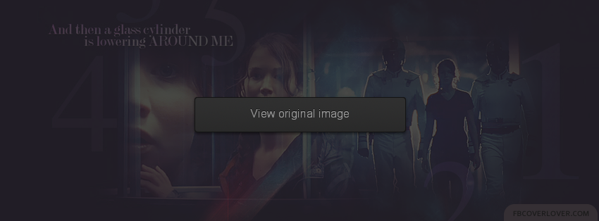 Katniss - The Hunger Games (3) Facebook Covers More Movies_TV Covers for Timeline