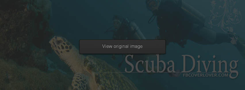 Scuba Diving Facebook Covers More Summer_Sports Covers for Timeline