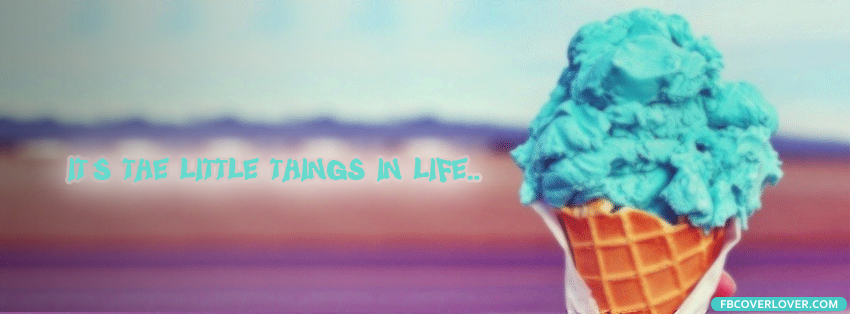 Its The Little Things In Life 2 Facebook Timeline  Profile Covers