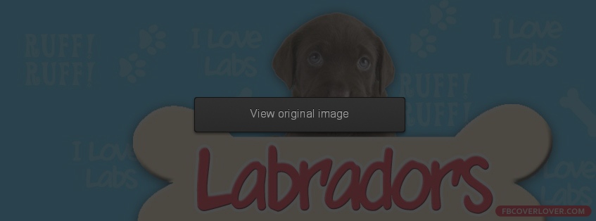 Labradors Facebook Covers More Animals Covers for Timeline