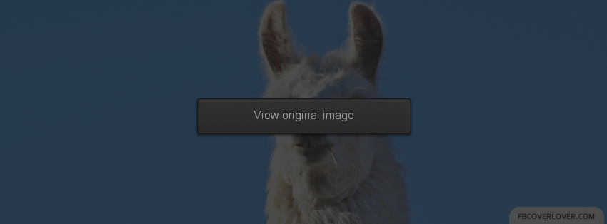 Llama Facebook Covers More Animals Covers for Timeline