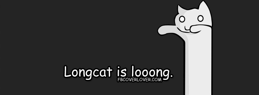 Longcat Is Long Facebook Timeline  Profile Covers