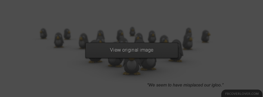 Lost Penguins Facebook Covers More Funny Covers for Timeline