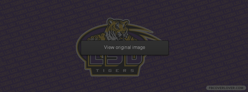 LSU Tigers 3 Facebook Covers More Football Covers for Timeline