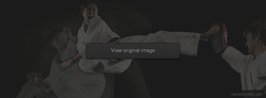 Karate 2 Facebook Covers More Miscellaneous Covers for Timeline