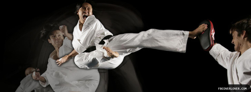 Karate 2 Facebook Covers More Miscellaneous Covers for Timeline
