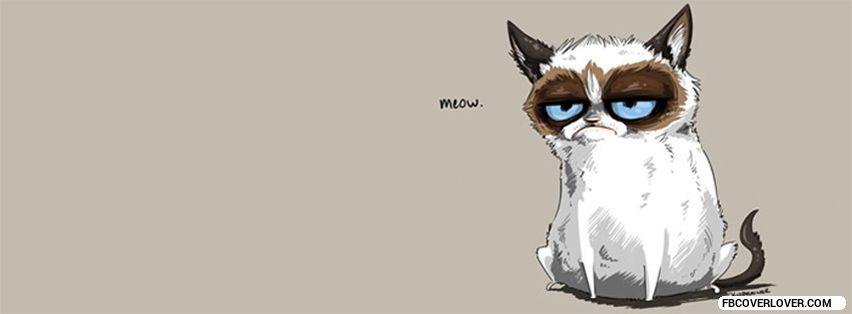 Meow. Facebook Timeline  Profile Covers