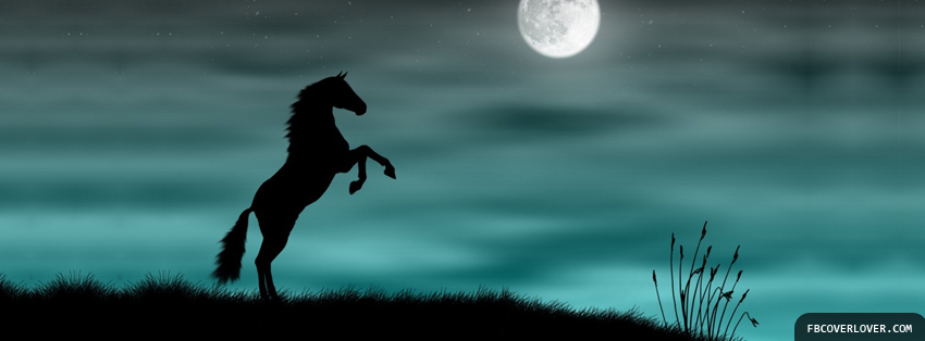 Horse In The Moonlight Facebook Timeline  Profile Covers