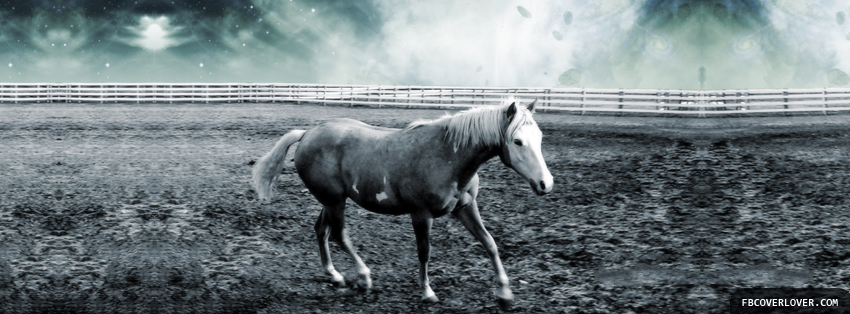 Scenic Horse Facebook Timeline  Profile Covers